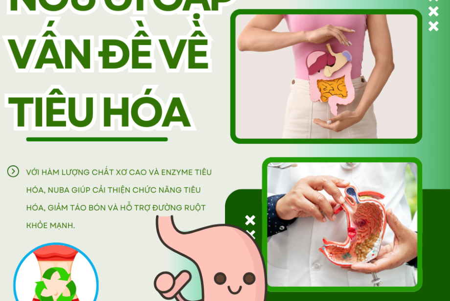  Giải Pháp Toàn Diện Cho Người Gặp Vấn Đề Về Tiêu Hóa – NUBA